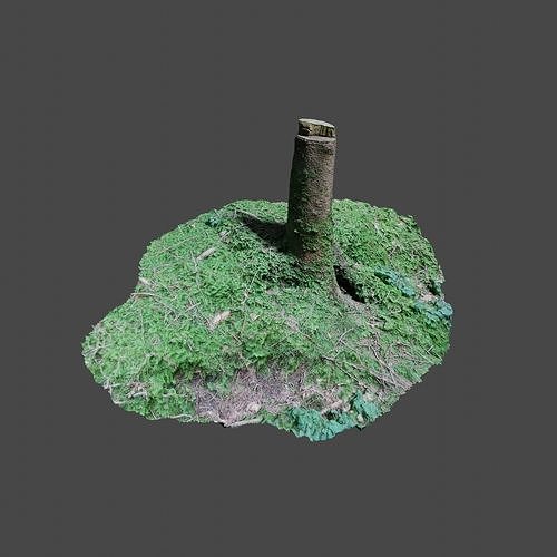 Tree Stump 1 3D model