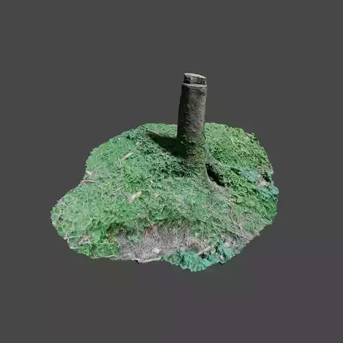 Tree Stump 1 3D model