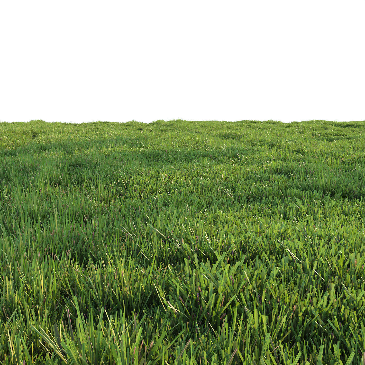 Grass for landscape 3D model_2