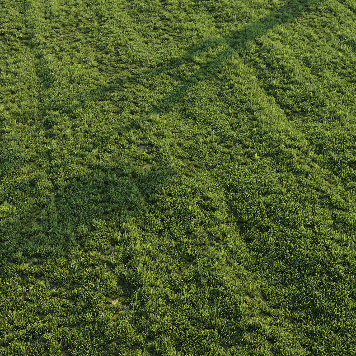 Grass for landscape 3D model_3