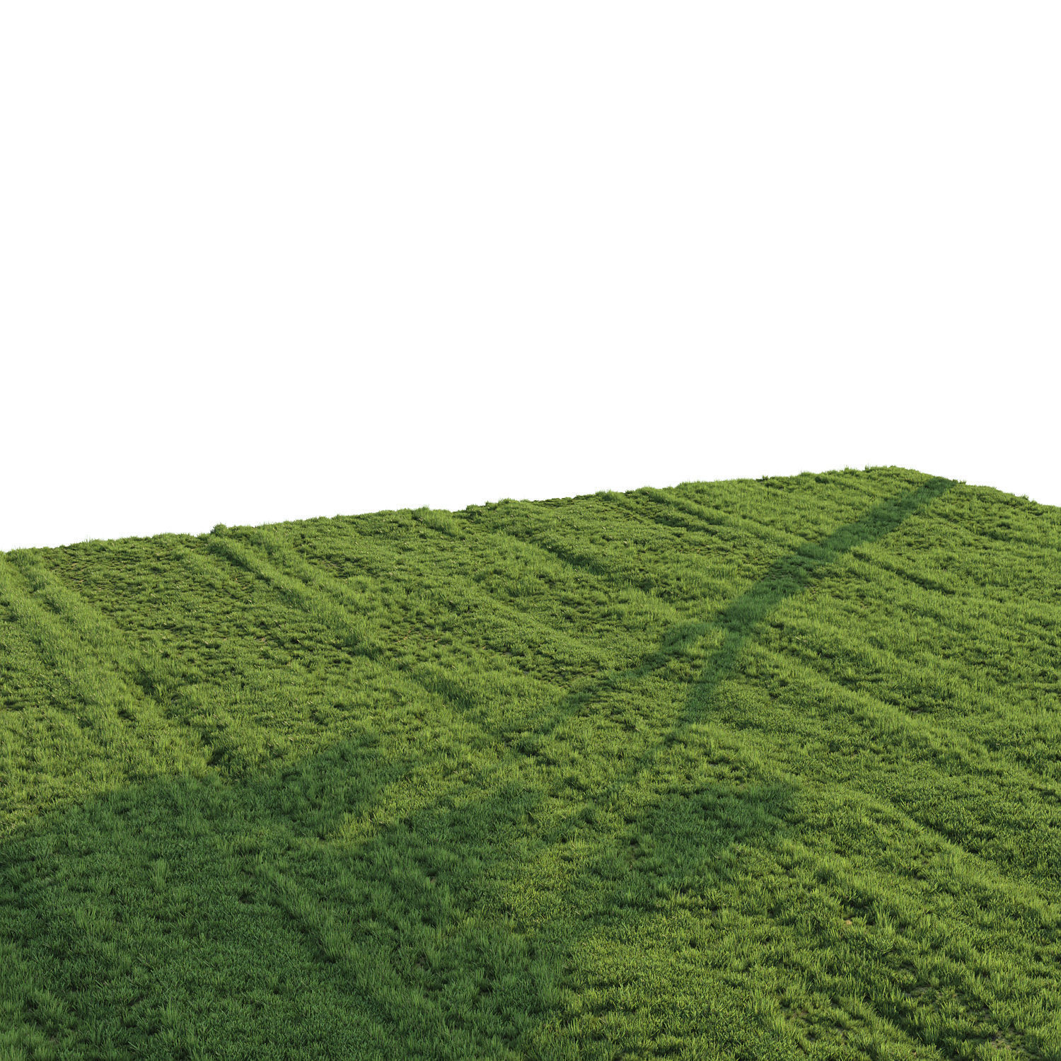 Grass for landscape 3D model_1