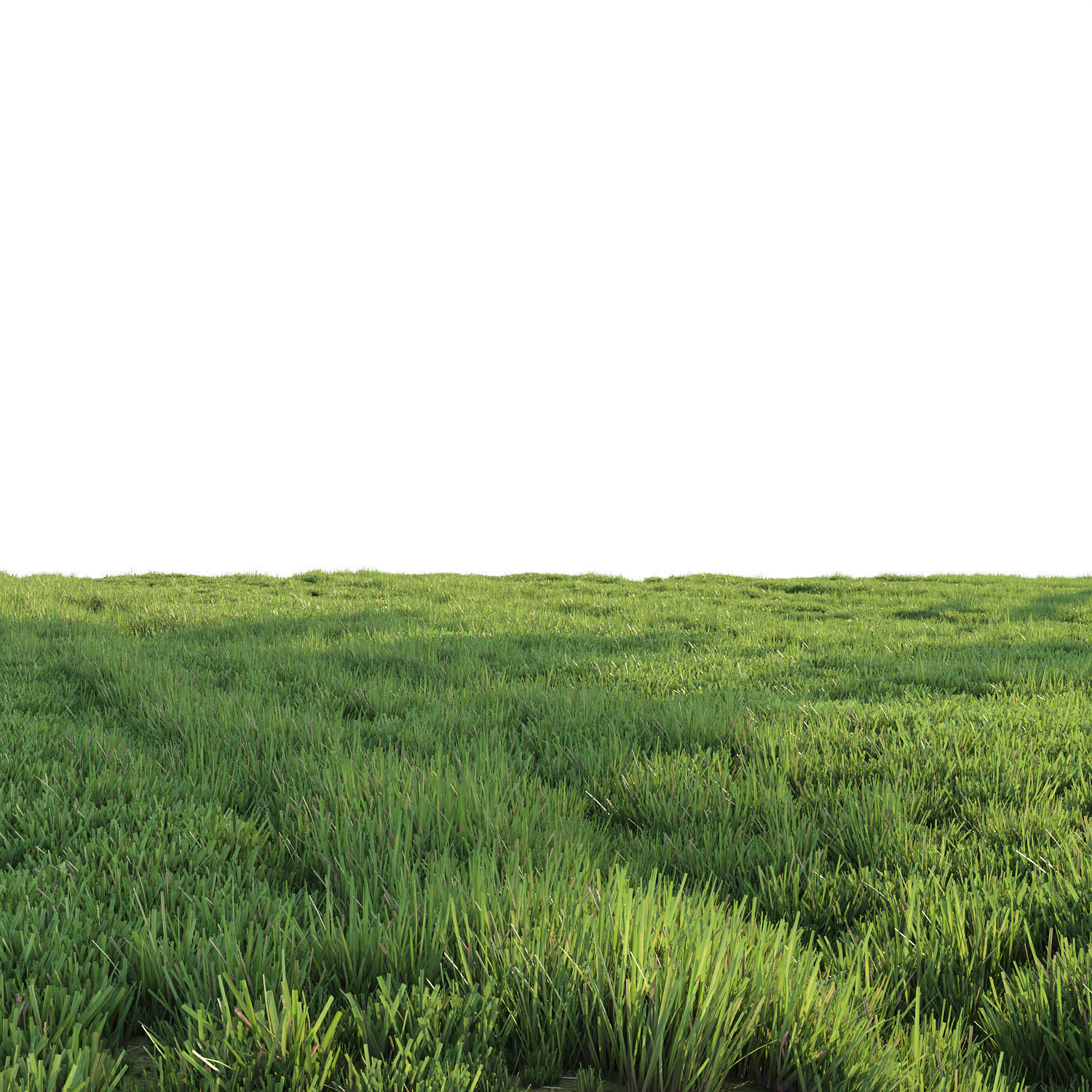 Grass for landscape 3D model_4