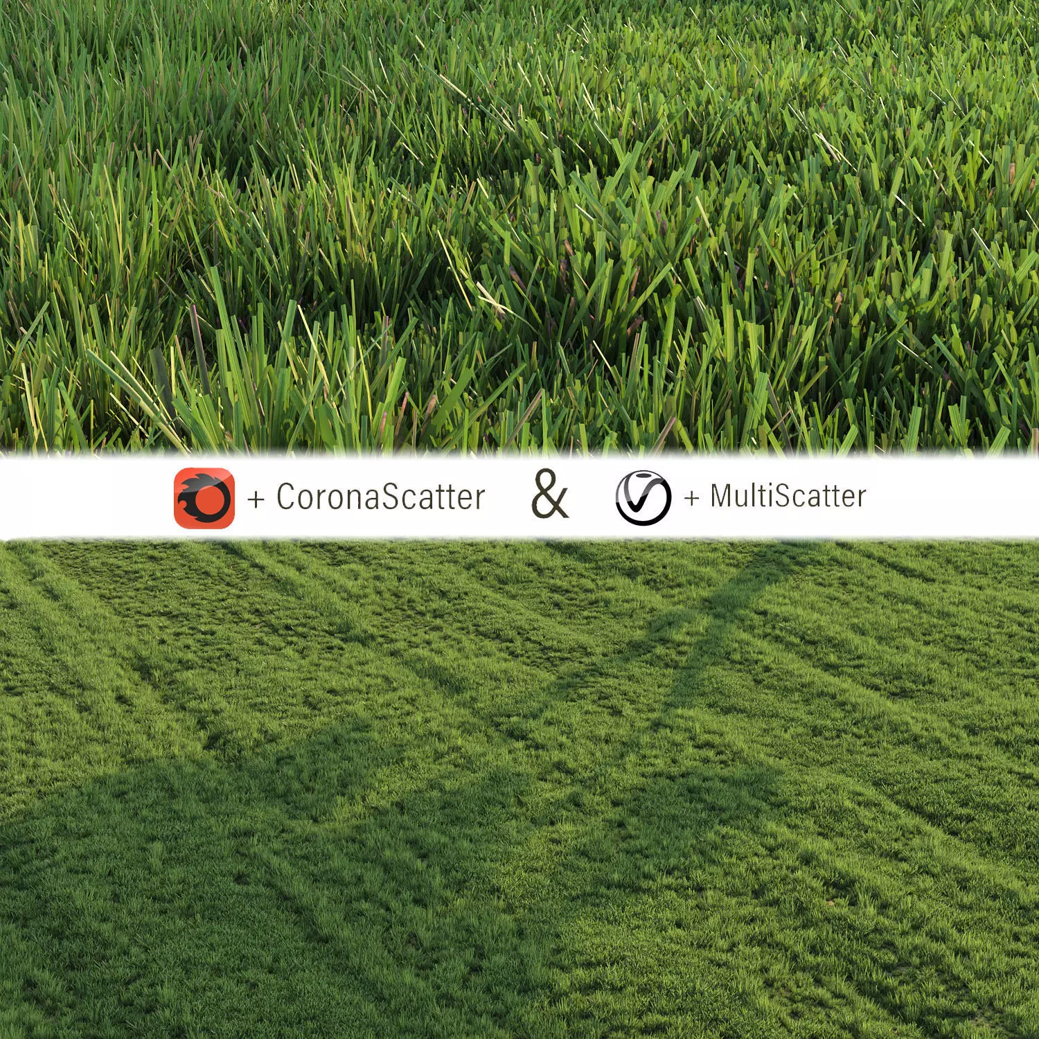 Grass for landscape 3D model_0