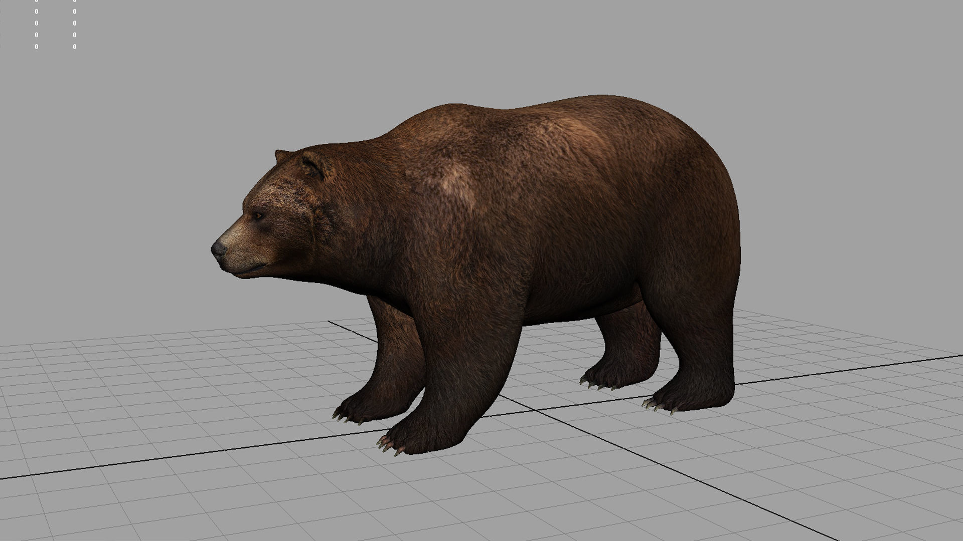 brown bear 3d model 3D model_6