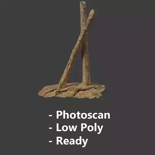 Tree Trunk Stump Scanned Processed Free low-poly 3D model