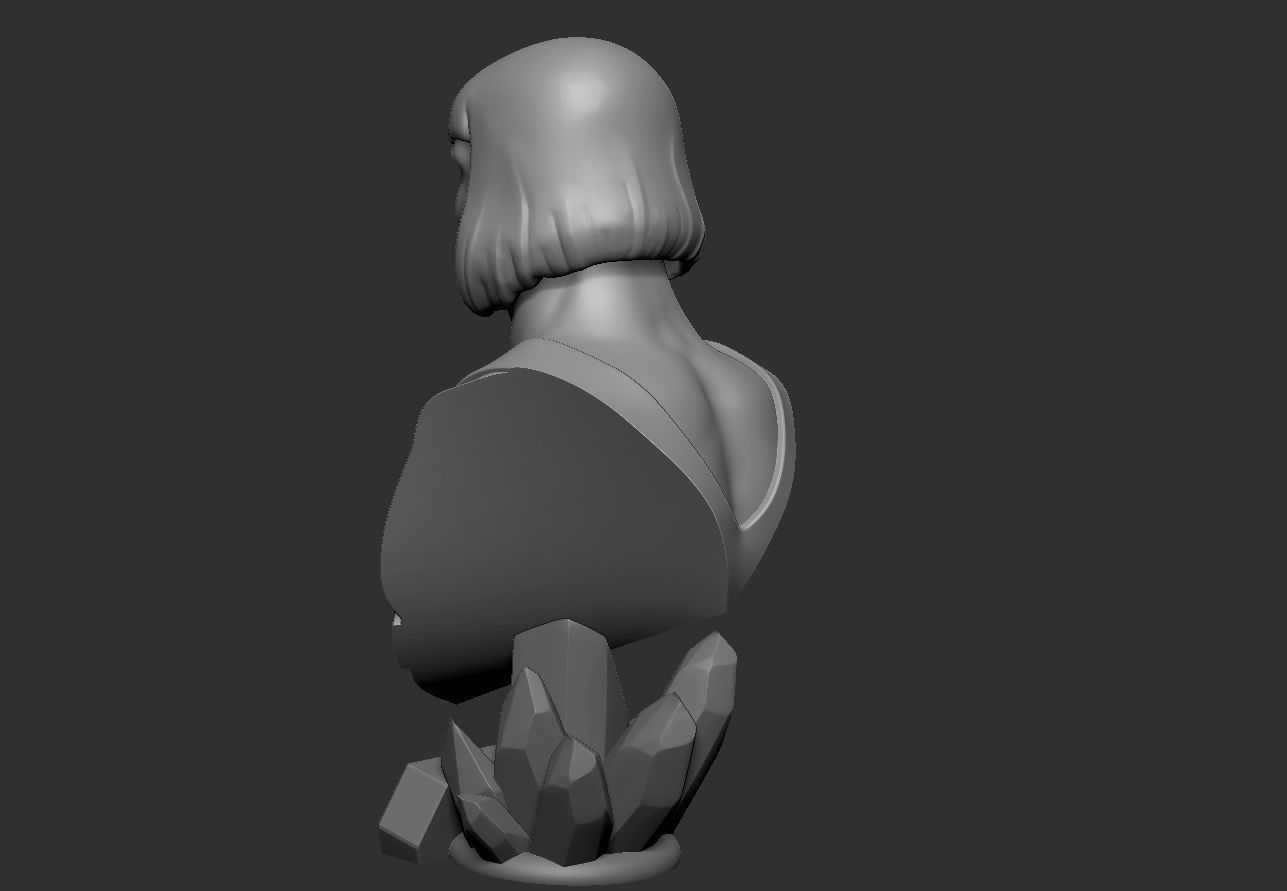 MOTU Busts Pack 3D print model_34