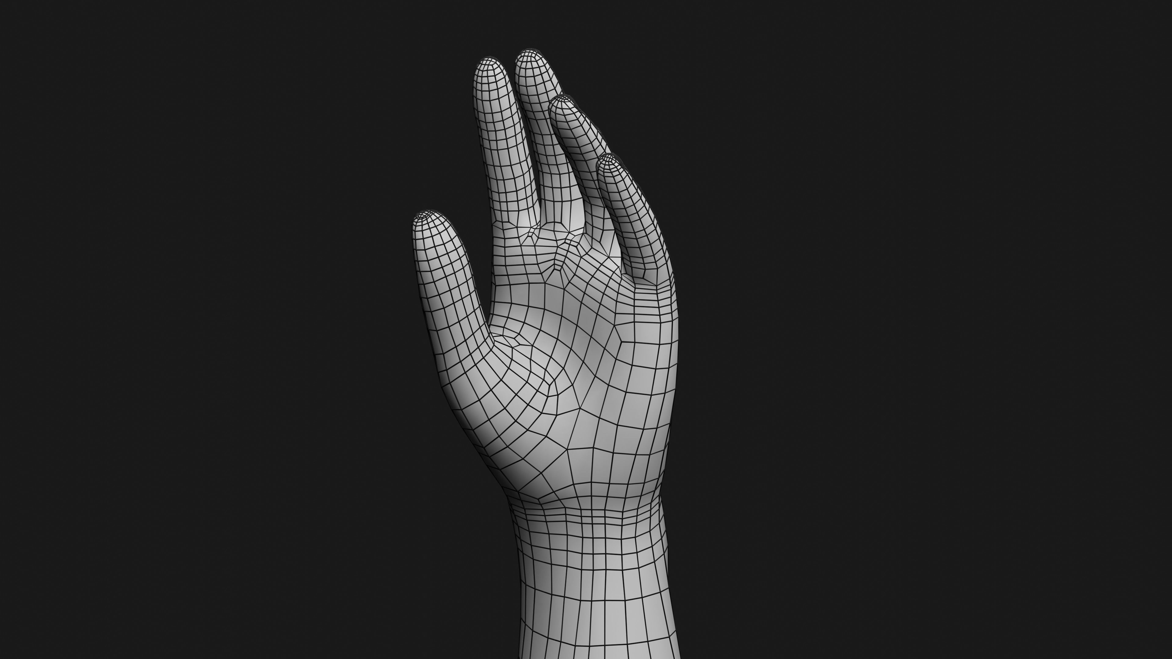 Male Left Hand Rigged Low-poly 3D model_16