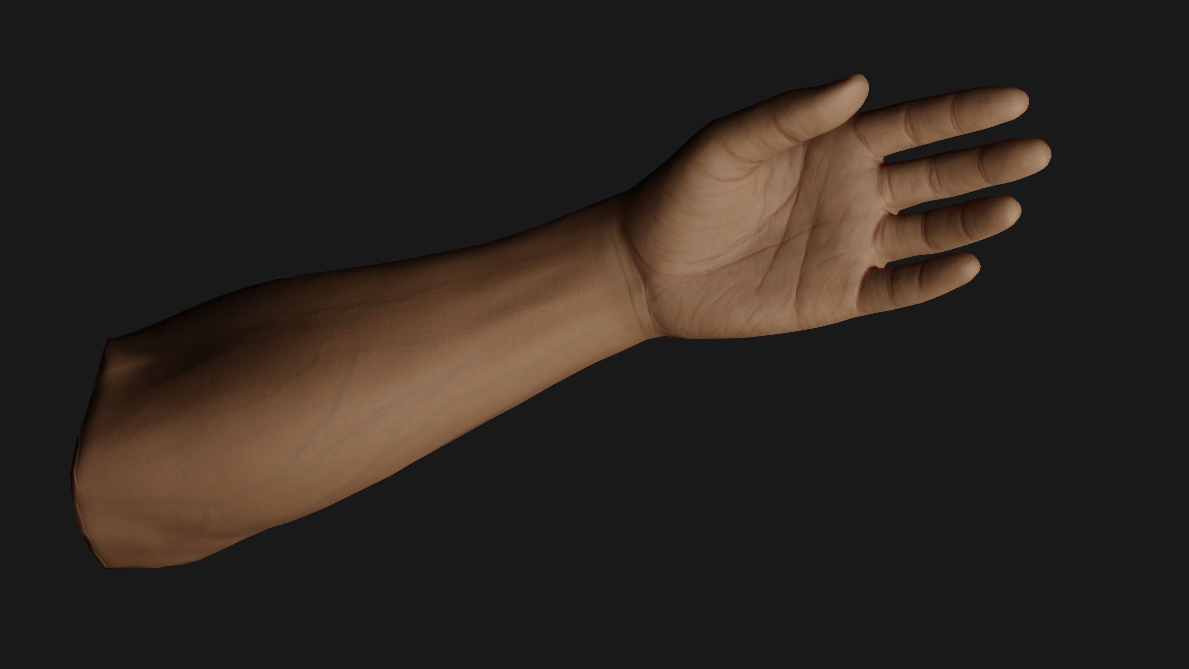 Male Left Hand Rigged Low-poly 3D model_15