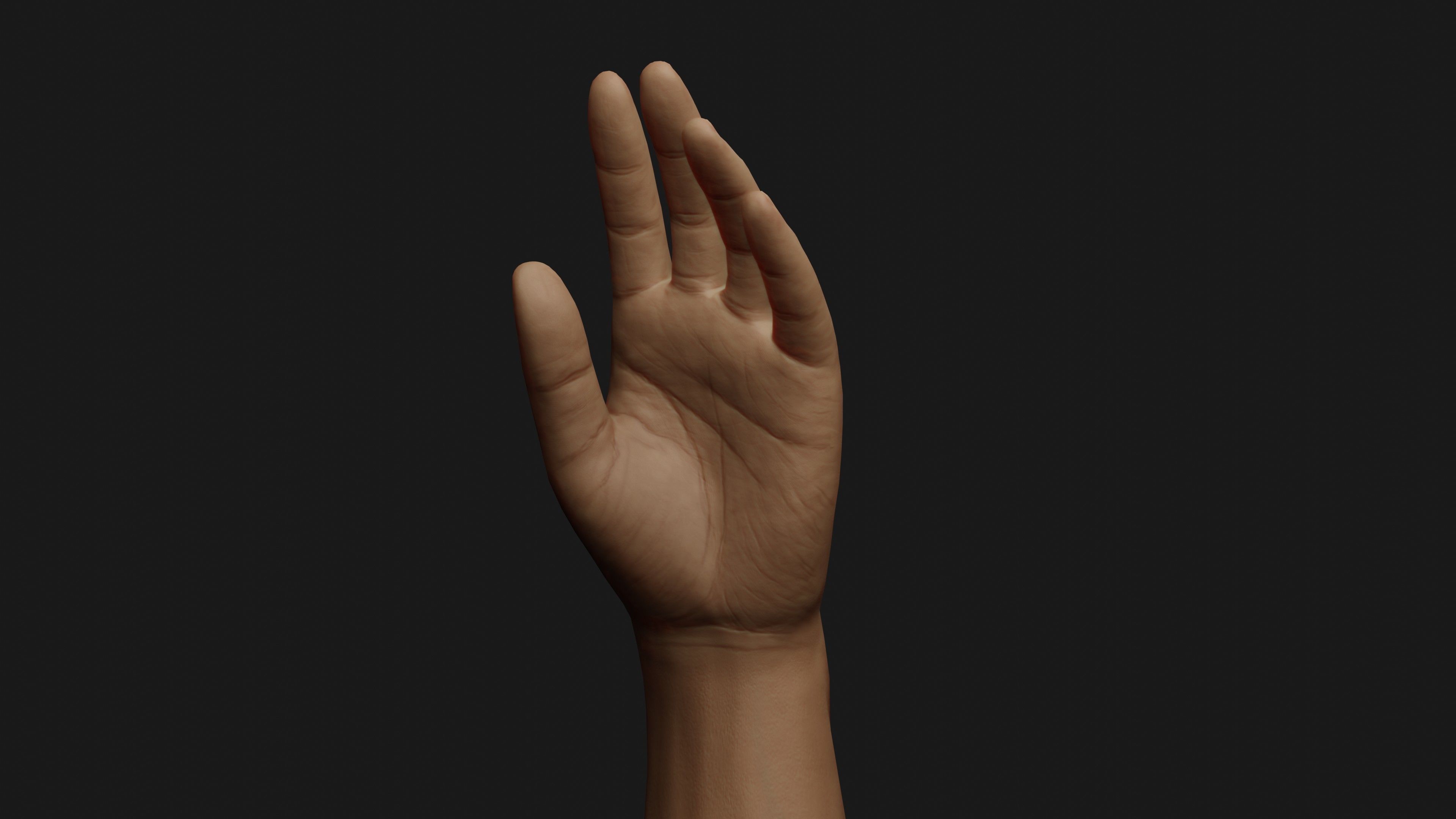 Male Left Hand Rigged Low-poly 3D model_1