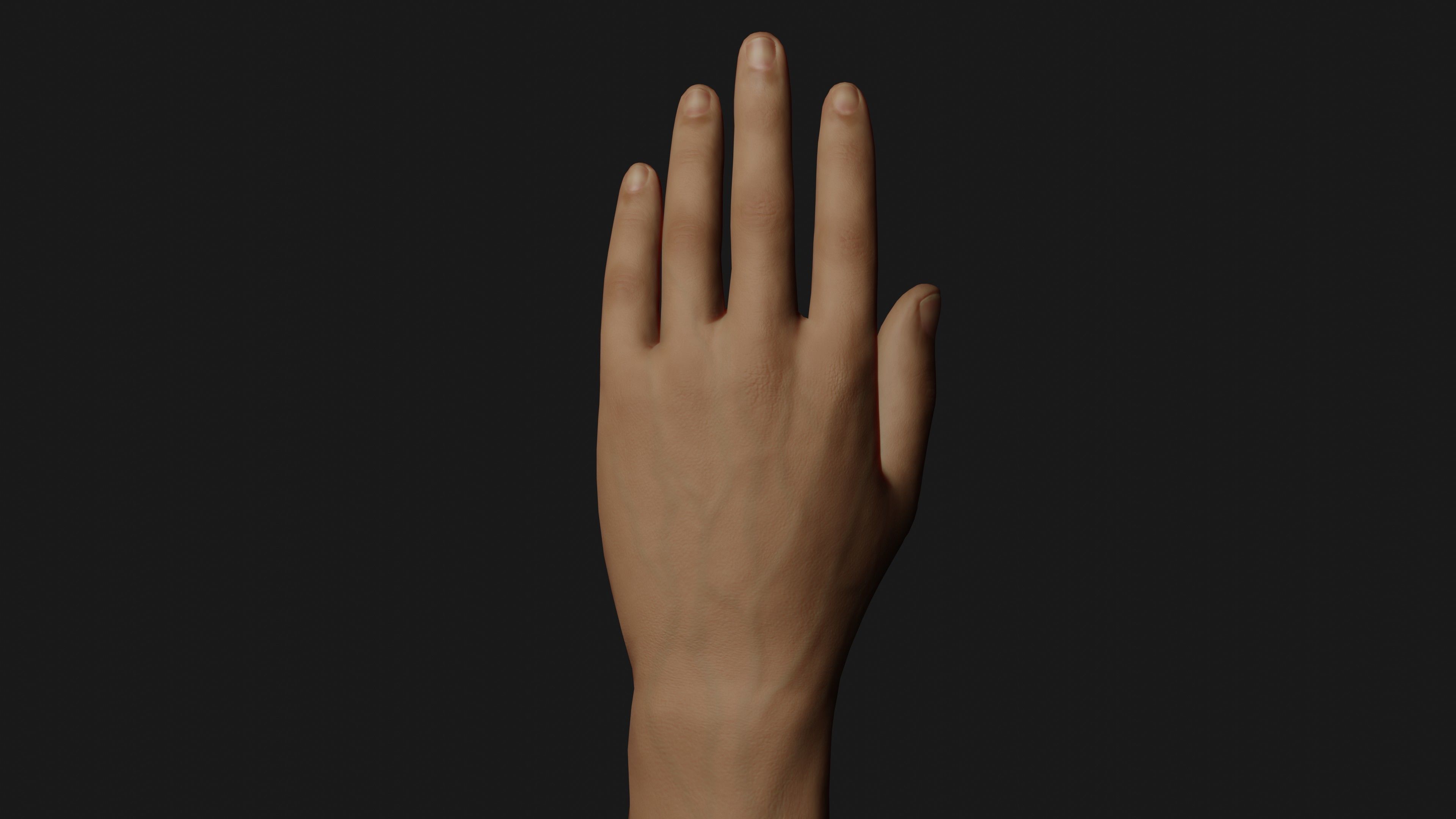 Male Left Hand Rigged Low-poly 3D model_12