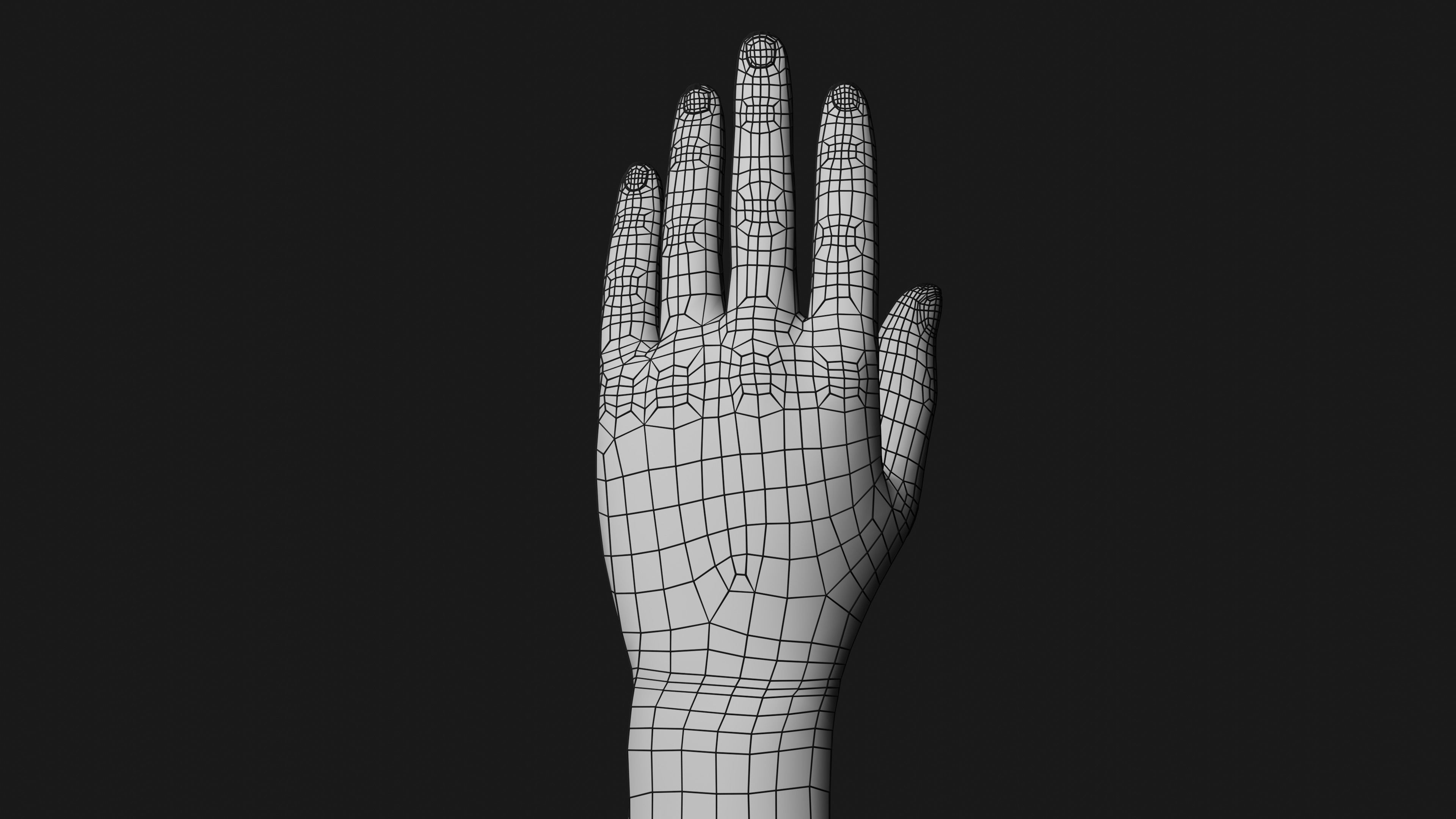 Male Left Hand Rigged Low-poly 3D model_27