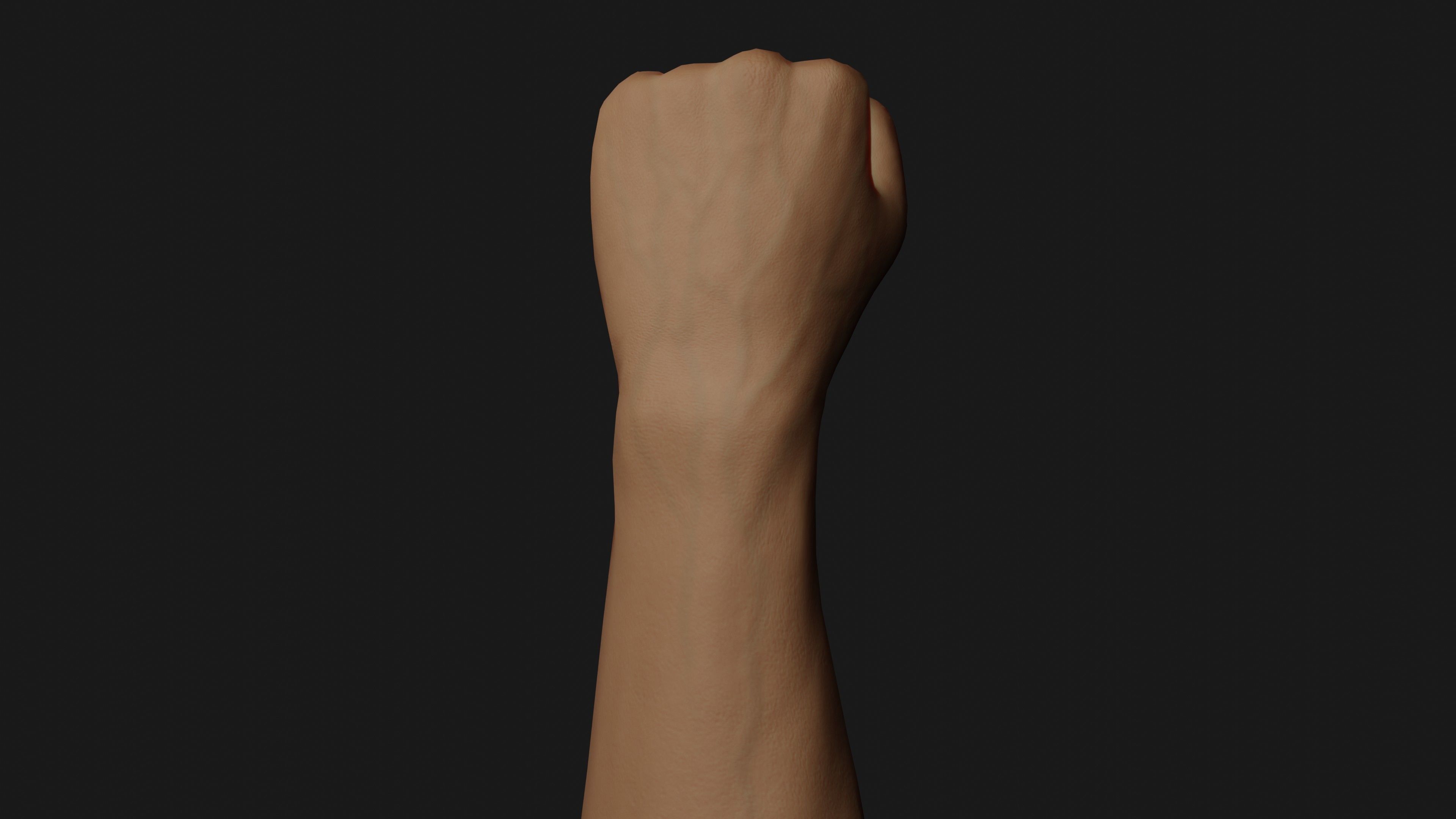 Male Left Hand Rigged Low-poly 3D model_11