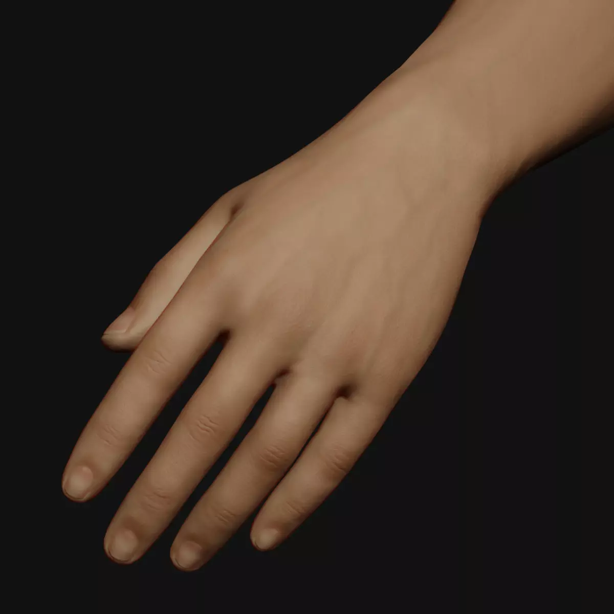 Male Left Hand Rigged Low-poly 3D model_0