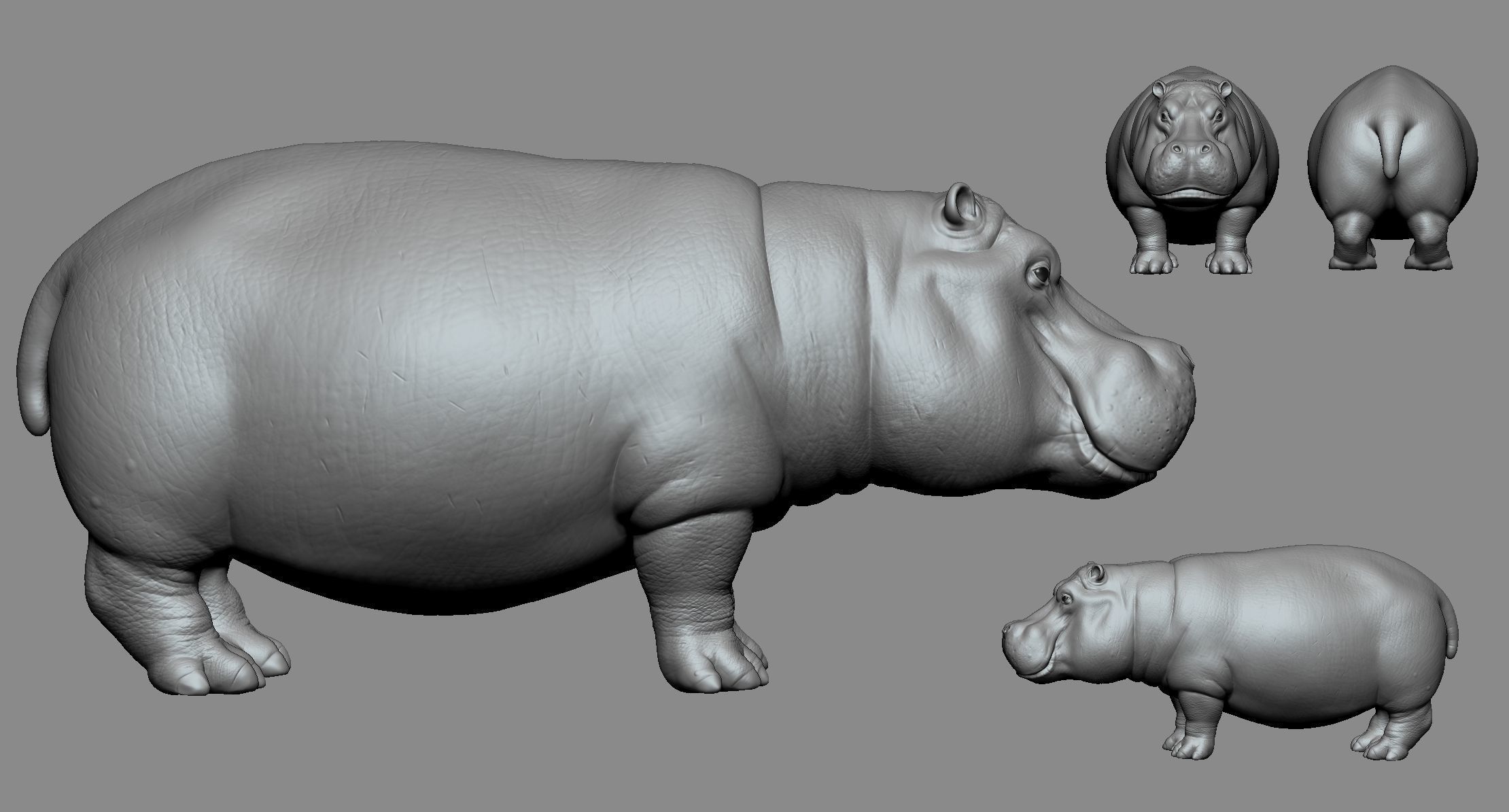 Hippo High 3D print model_1