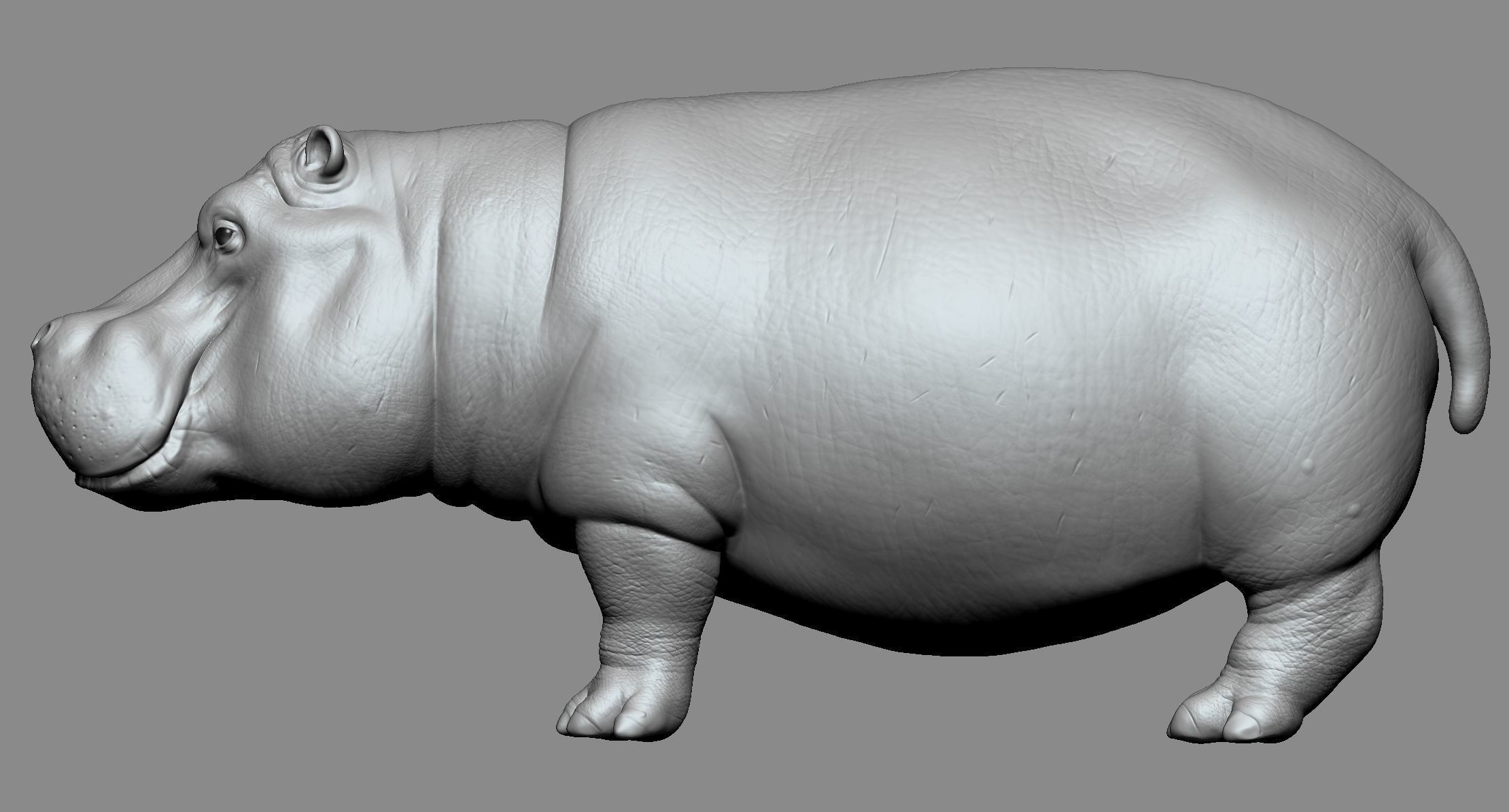 Hippo High 3D print model_3
