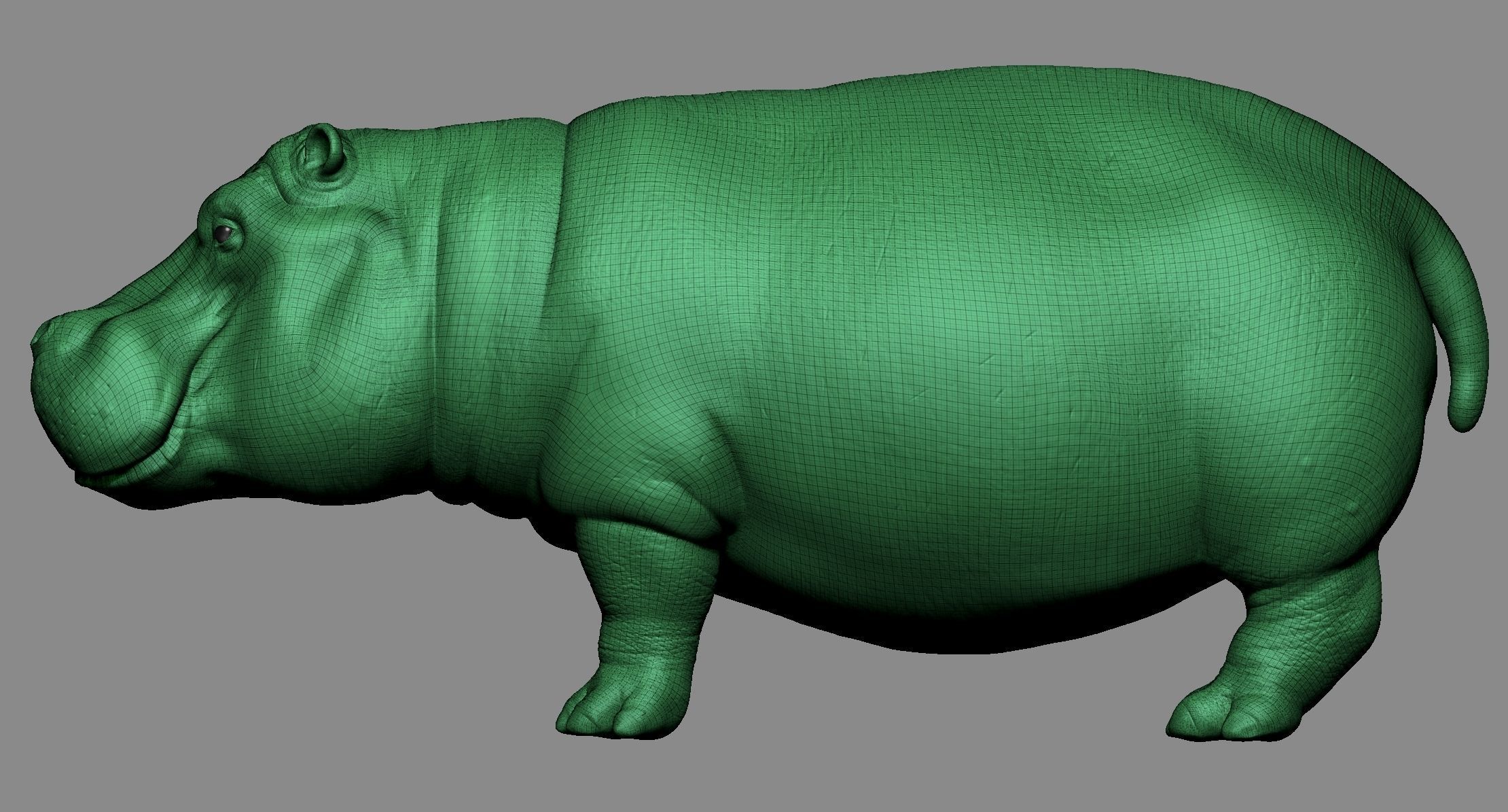 Hippo High 3D print model_11