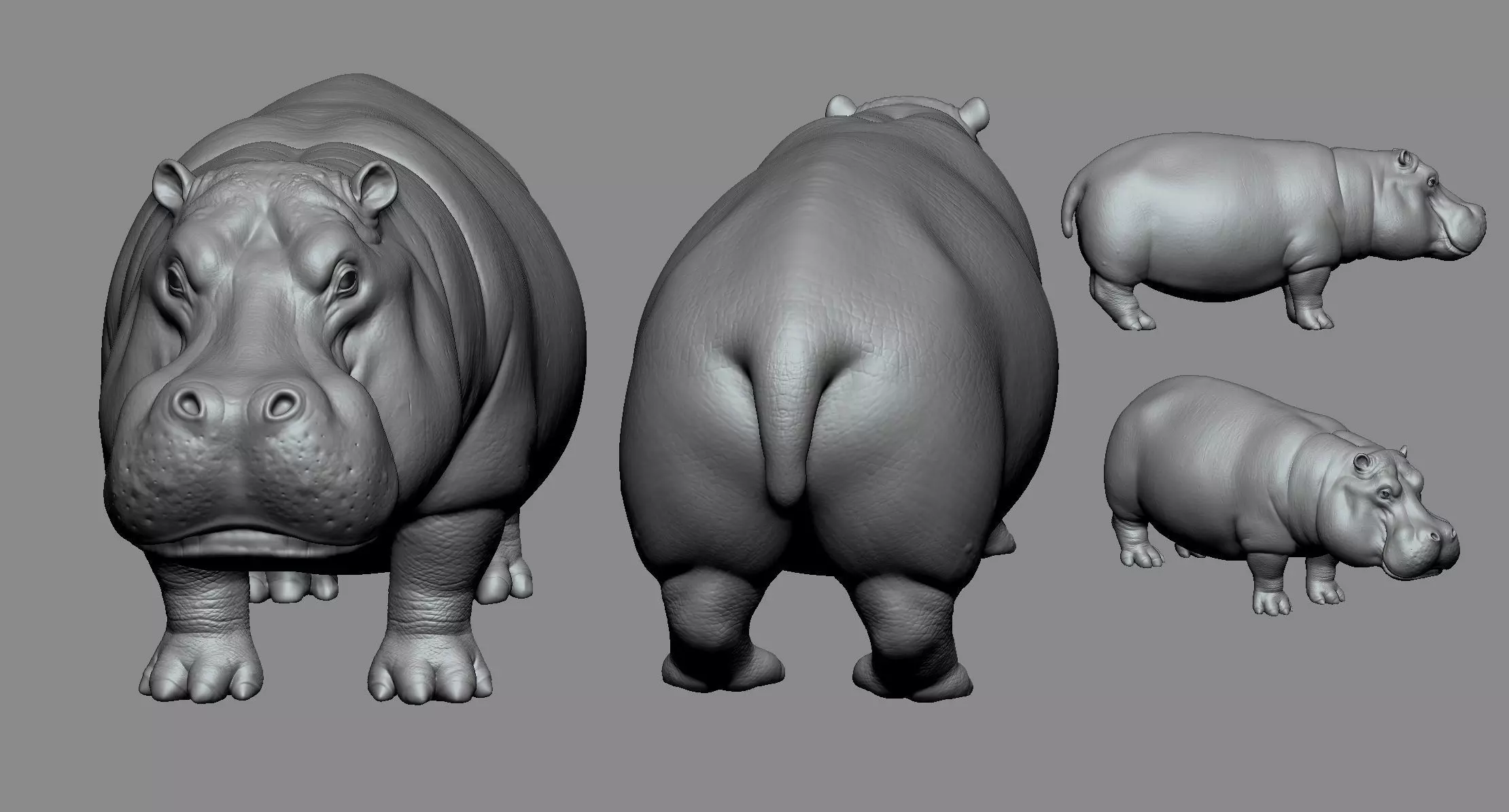 Hippo High 3D print model_0