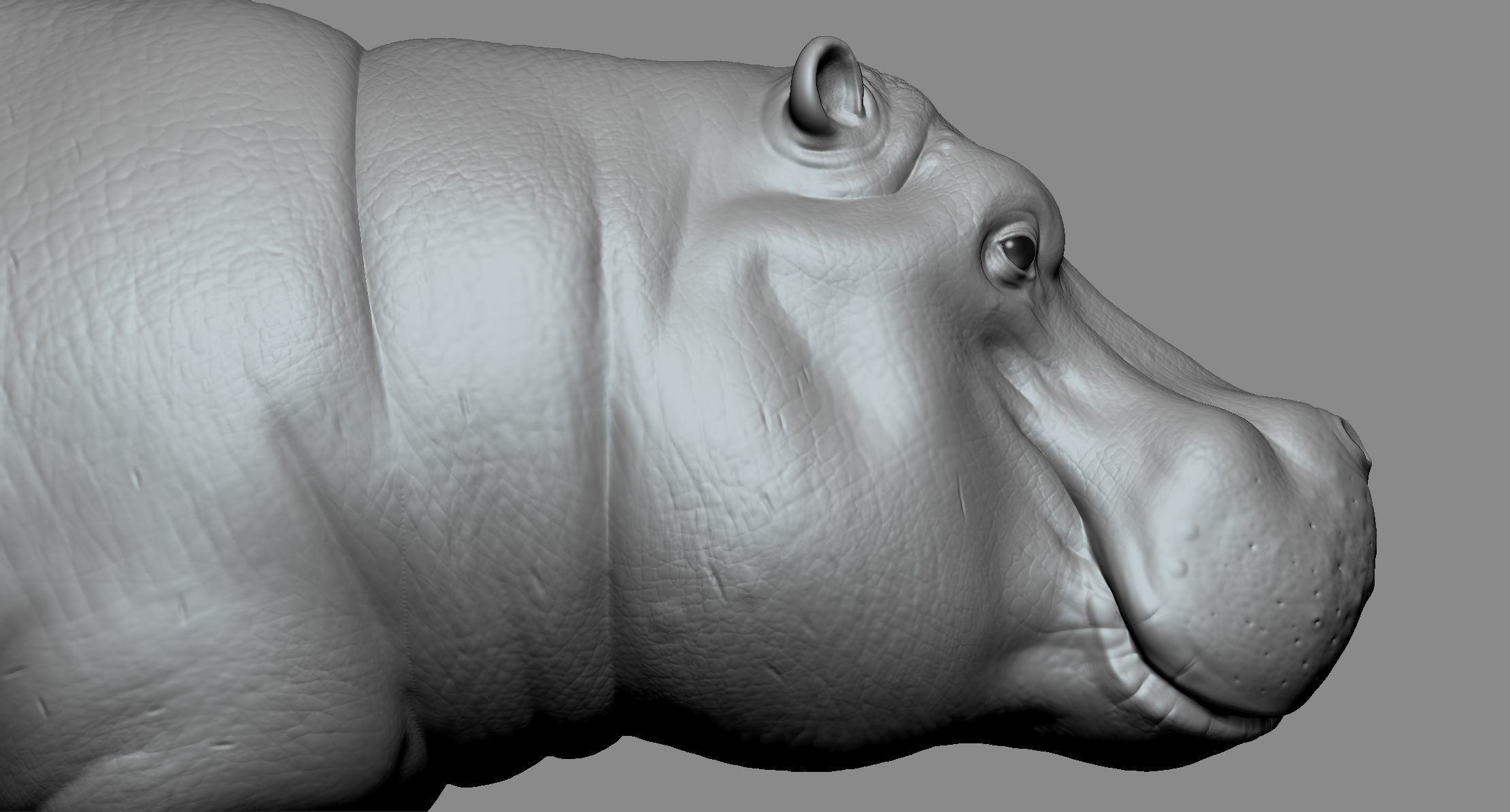 Hippo High 3D print model_7