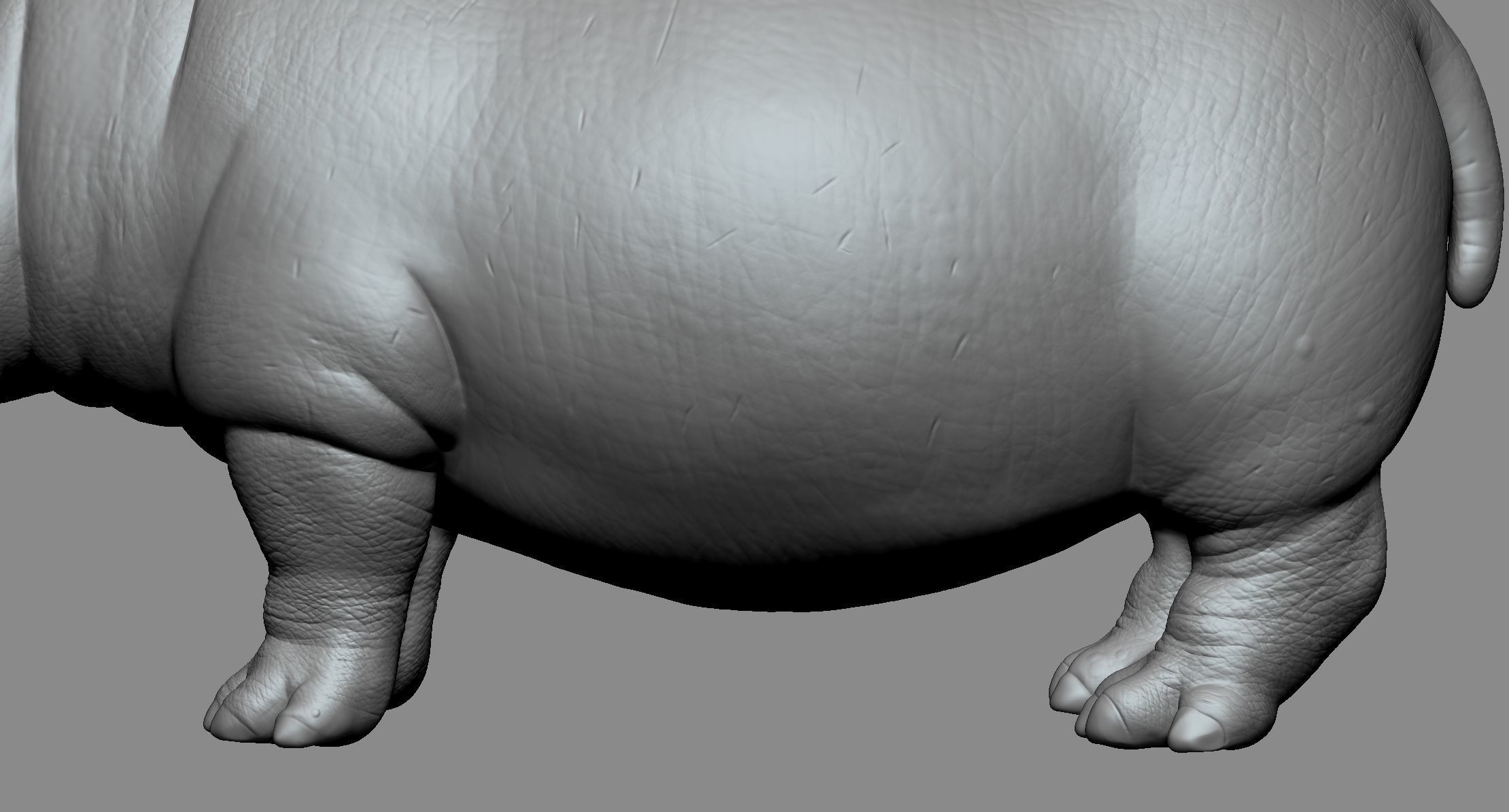 Hippo High 3D print model_6