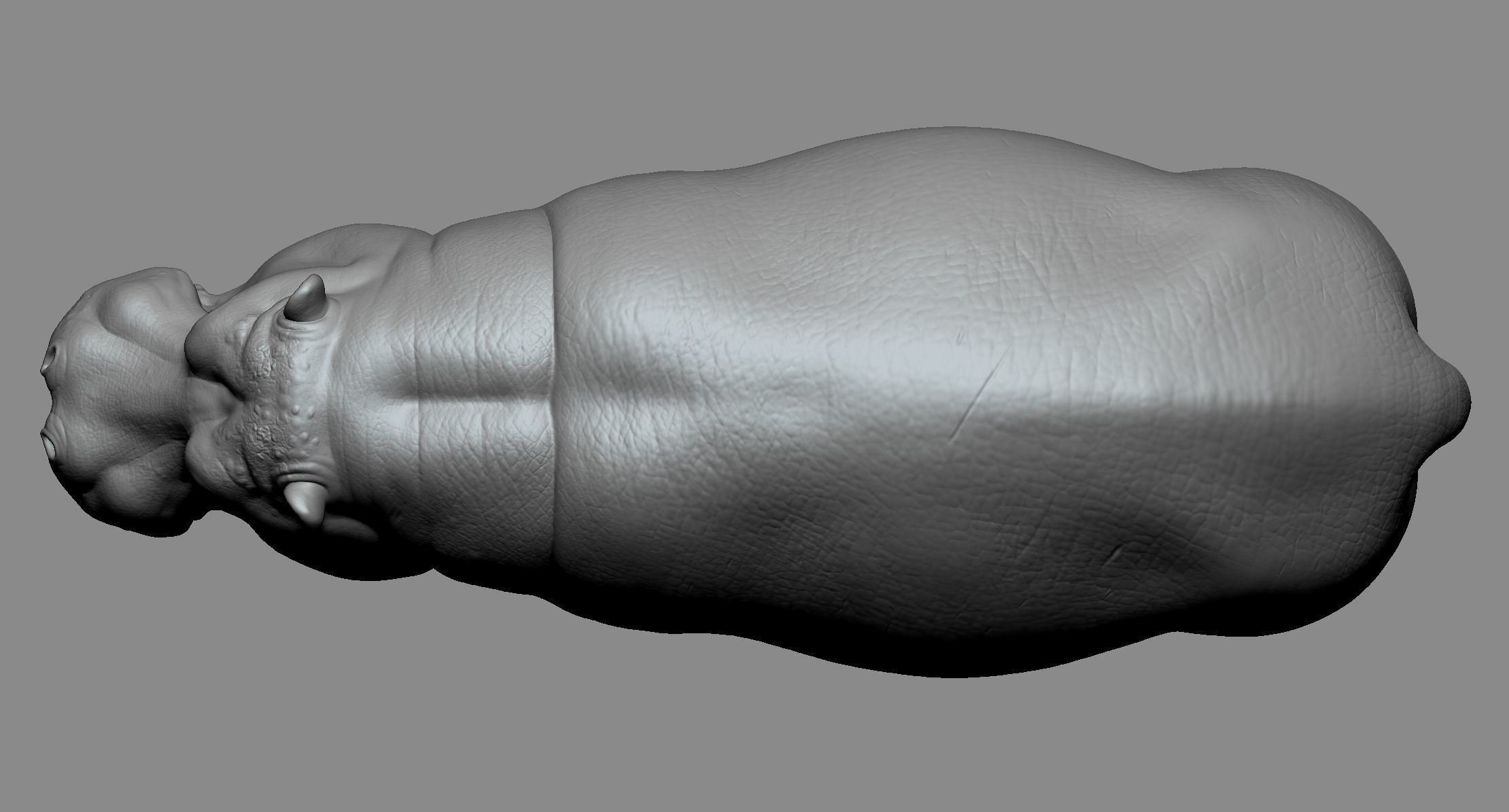 Hippo High 3D print model_4