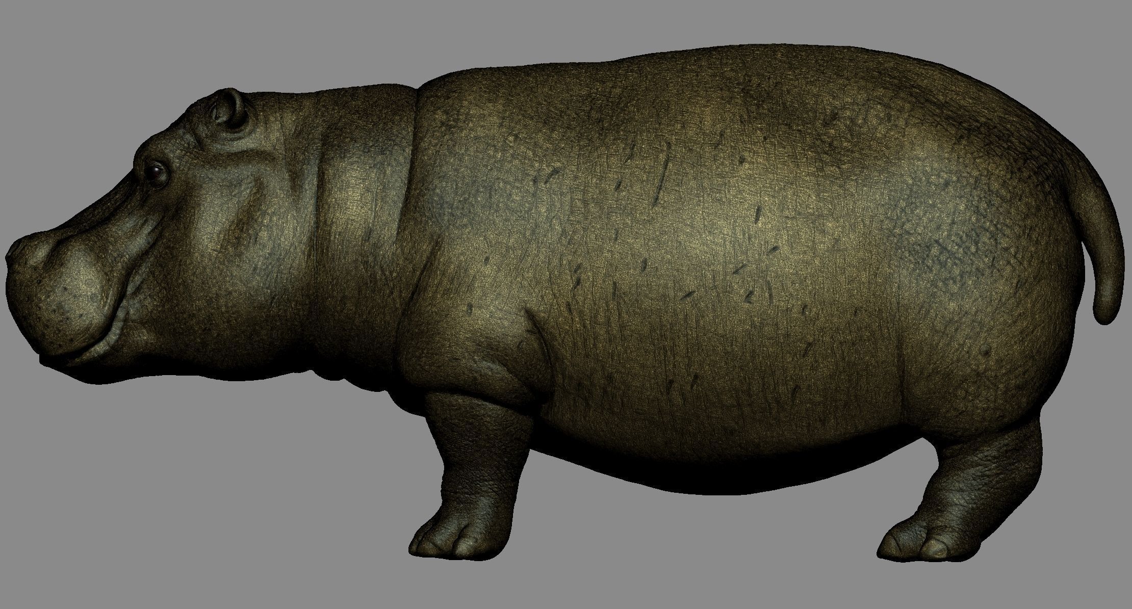 Hippo High 3D print model_10
