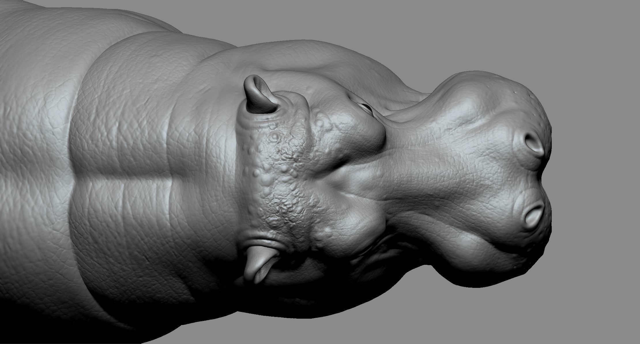 Hippo High 3D print model_8