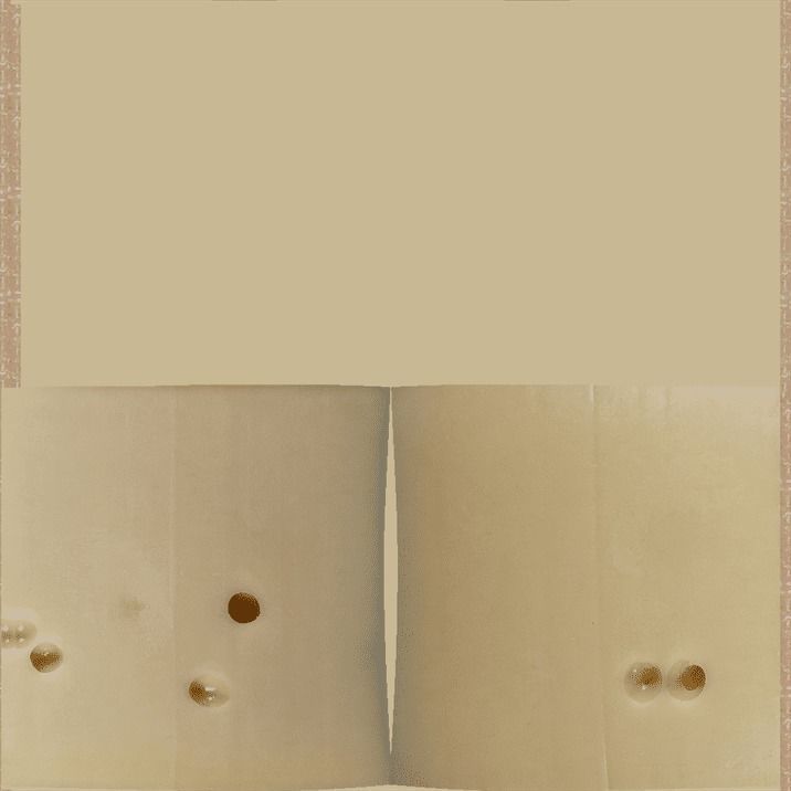 Package of Cheese 3 3D model_12