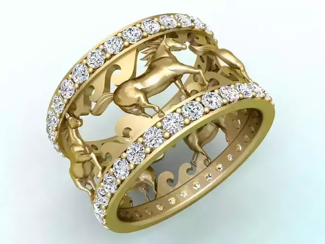 Horse Rings