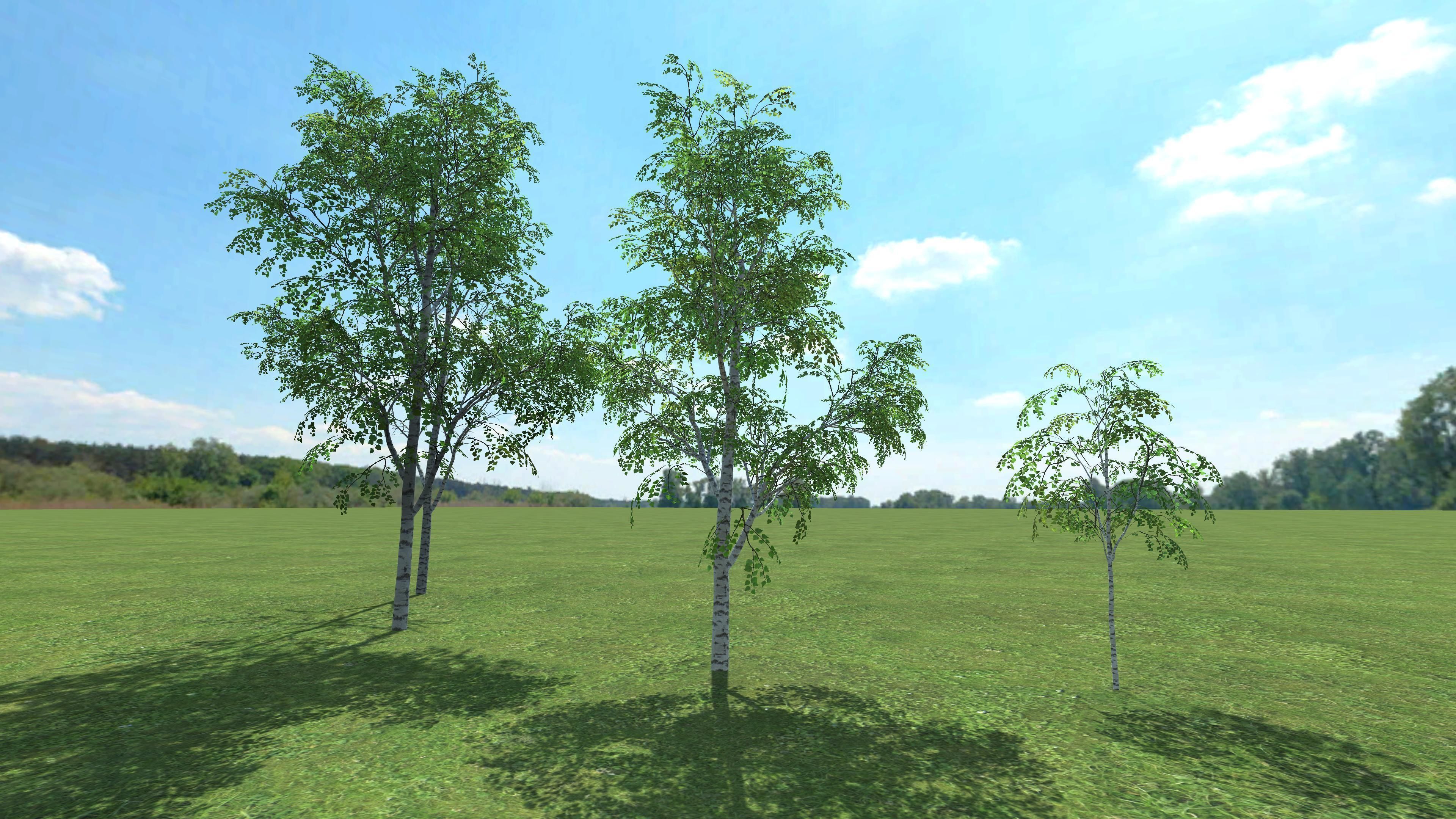 3D gameready models Birch Low-poly 3D model_4