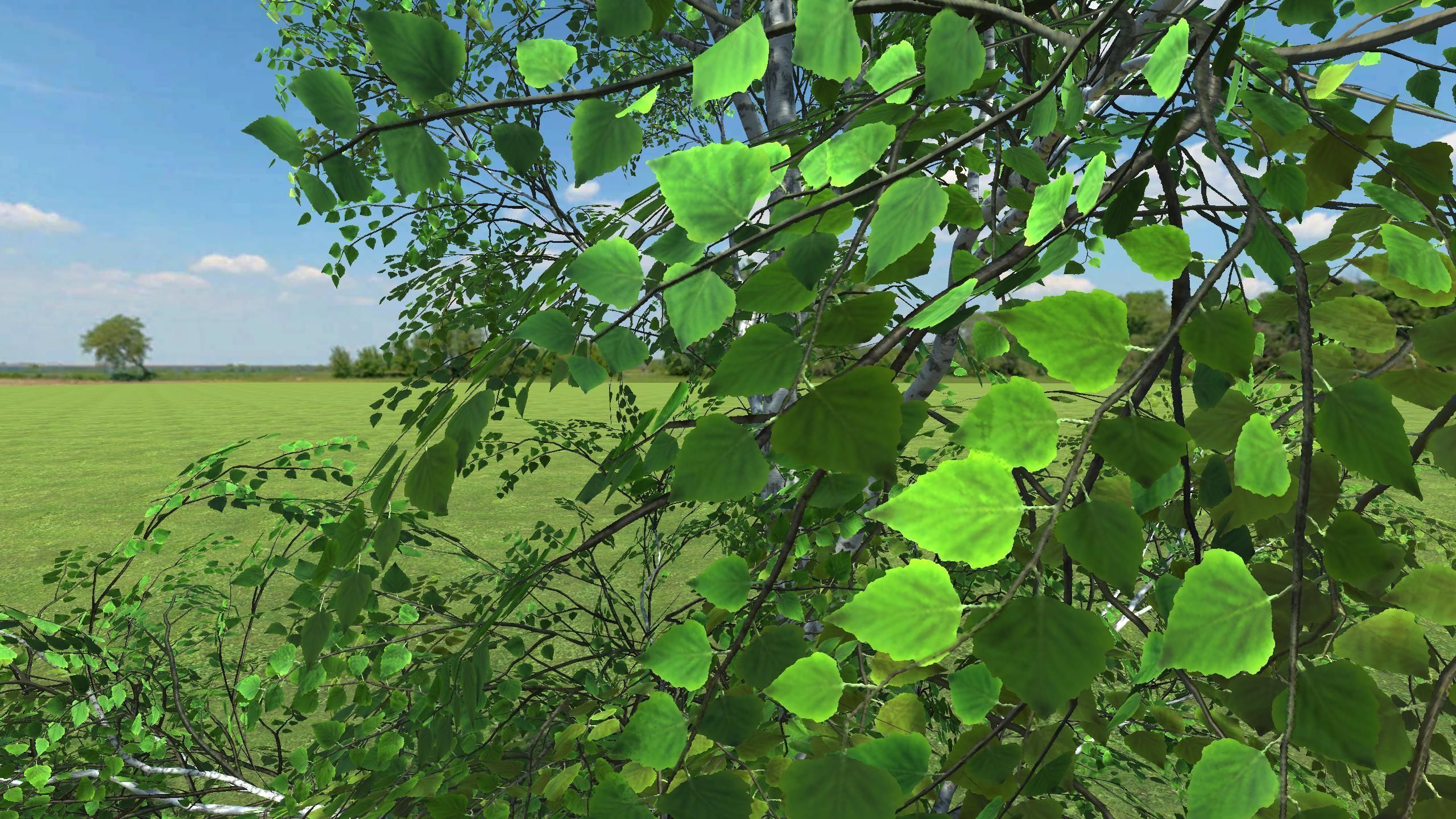 3D gameready models Birch Low-poly 3D model_2