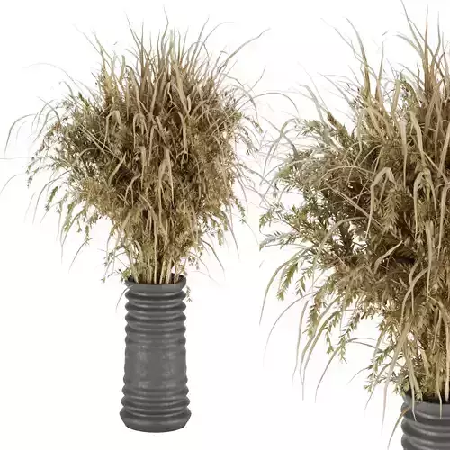 Collection plant vol 174 Free 3D model