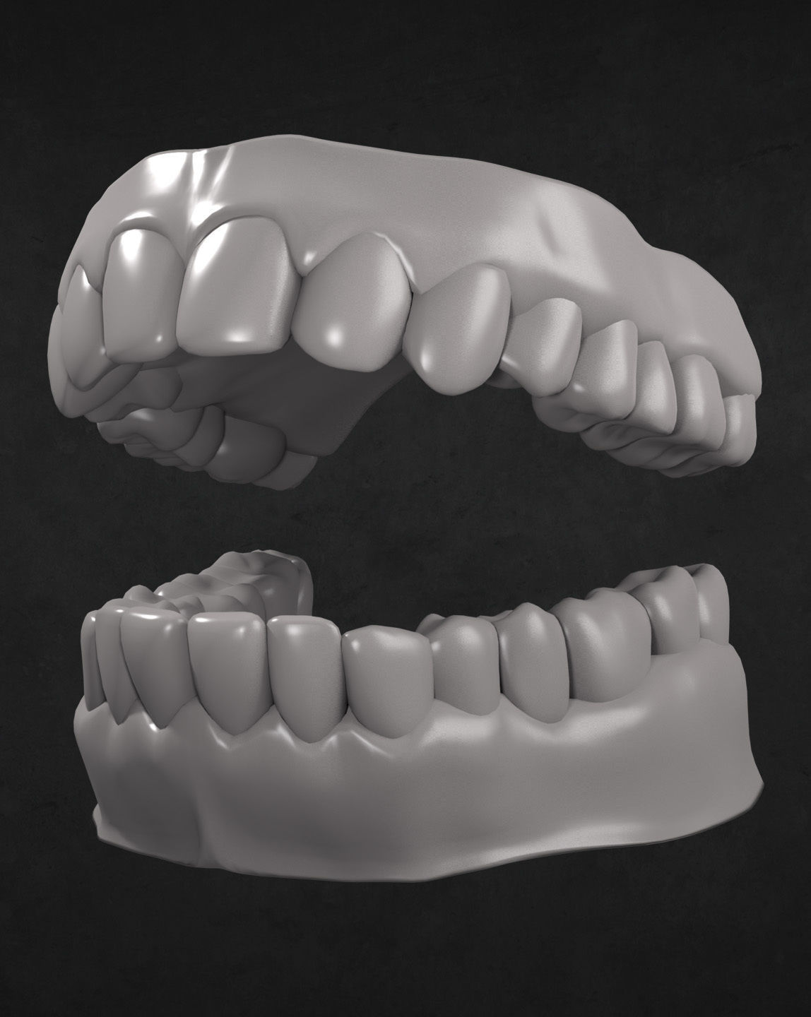 Teeth and Gums 3D model_3