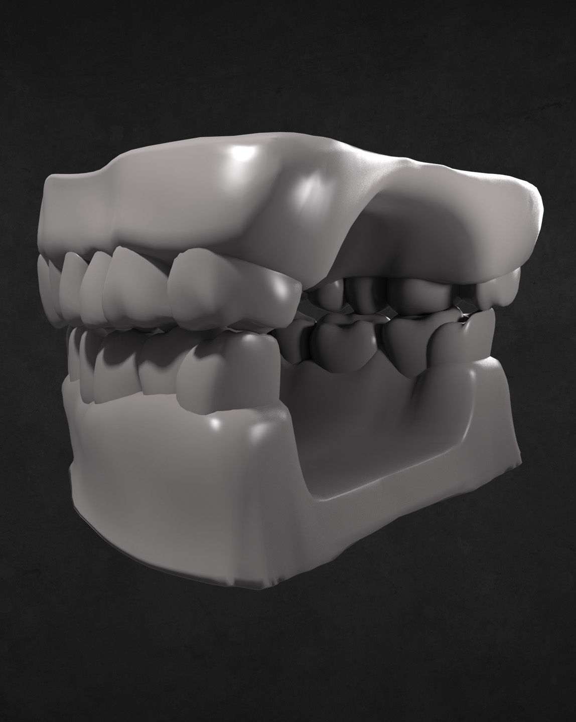 Teeth and Gums 3D model_2