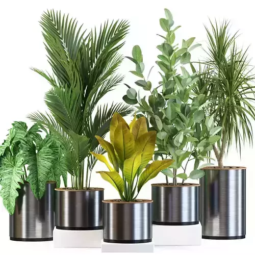 Plants collection 547 3D model