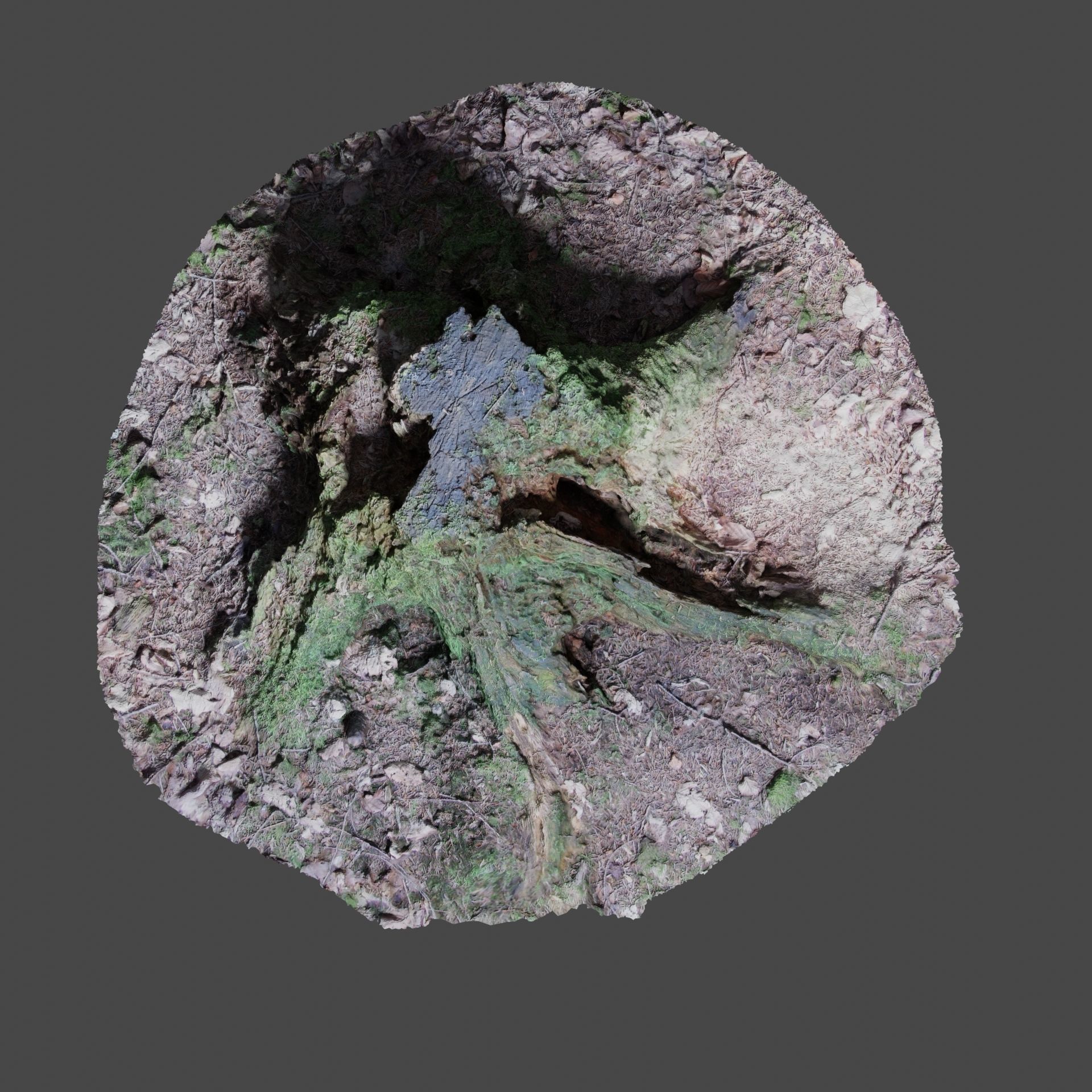 Tree Stump 2 3D model_11