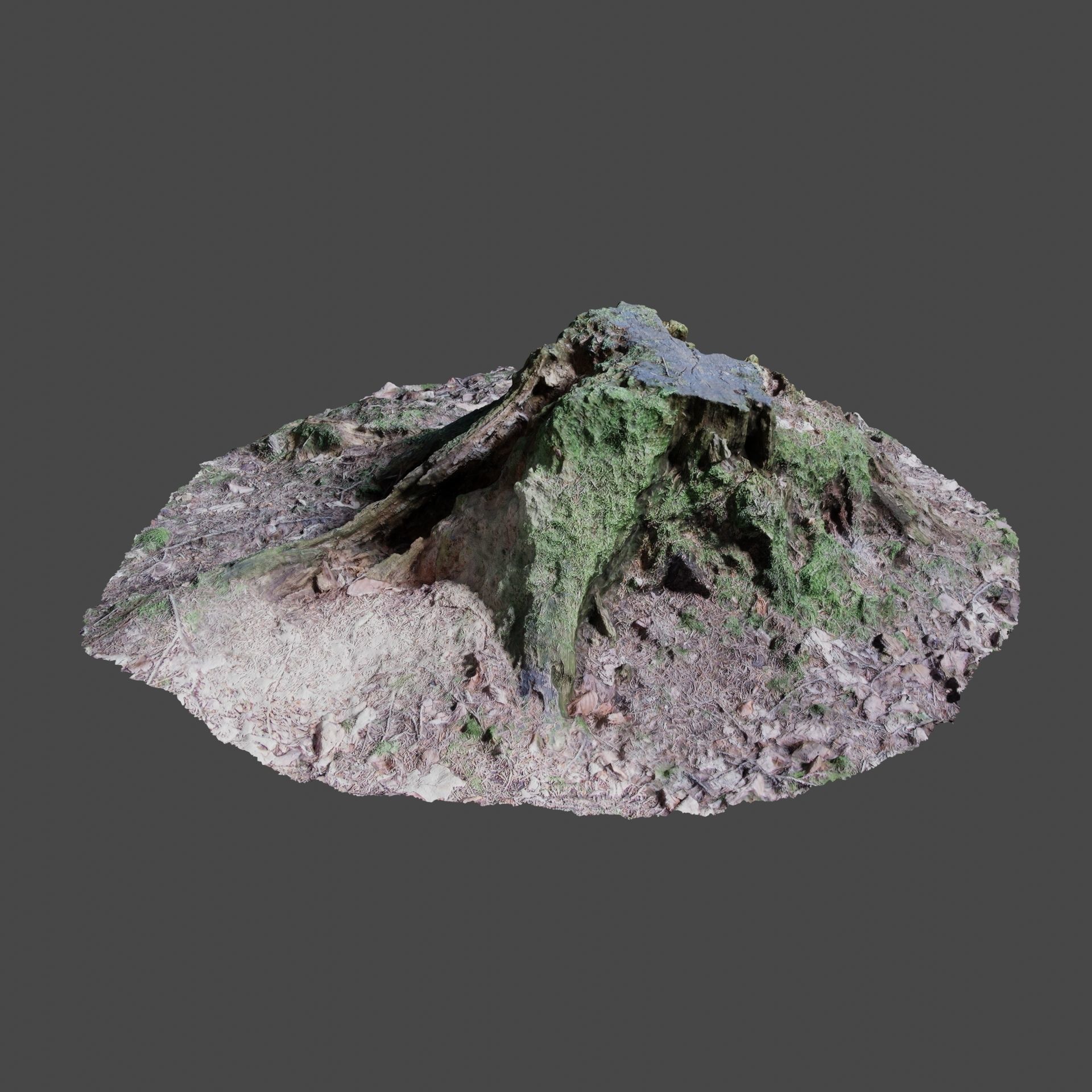 Tree Stump 2 3D model_2
