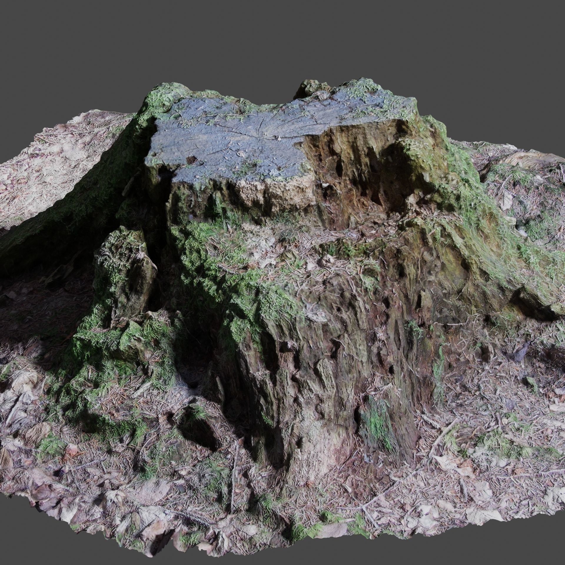 Tree Stump 2 3D model_5