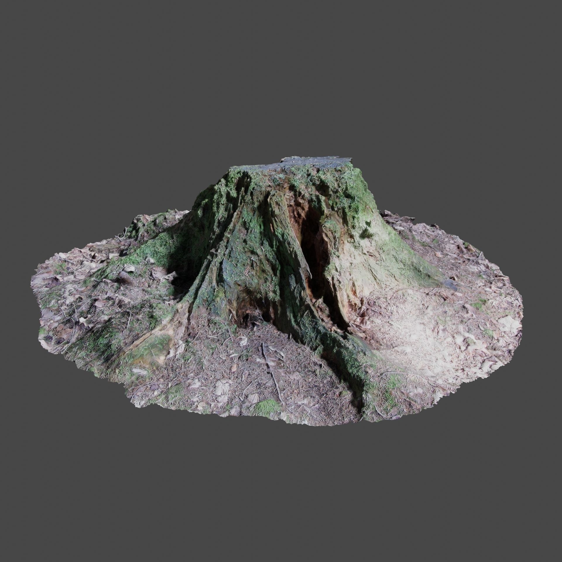 Tree Stump 2 3D model_3