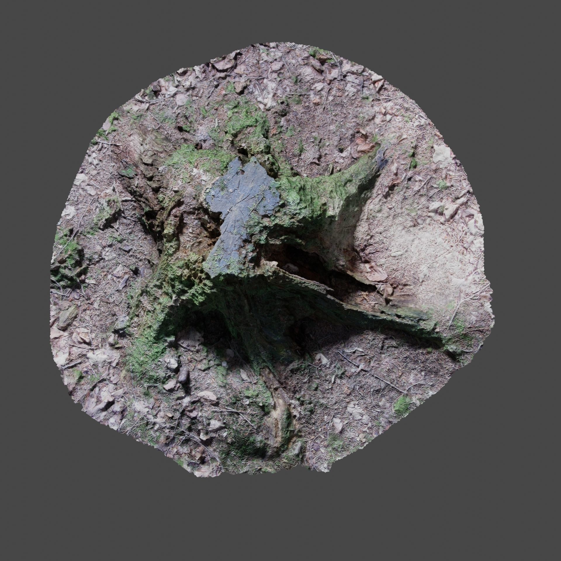 Tree Stump 2 3D model_9