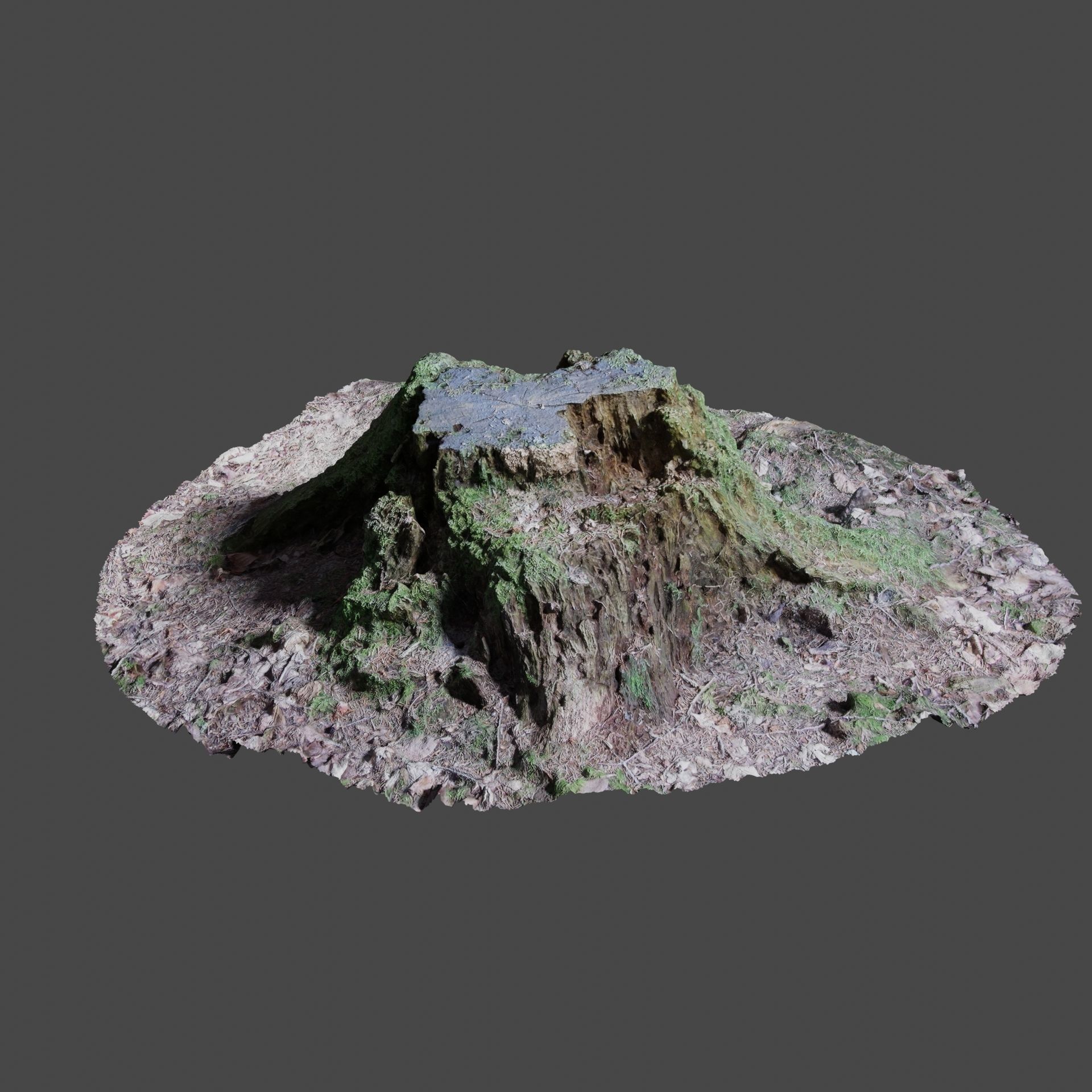 Tree Stump 2 3D model_1