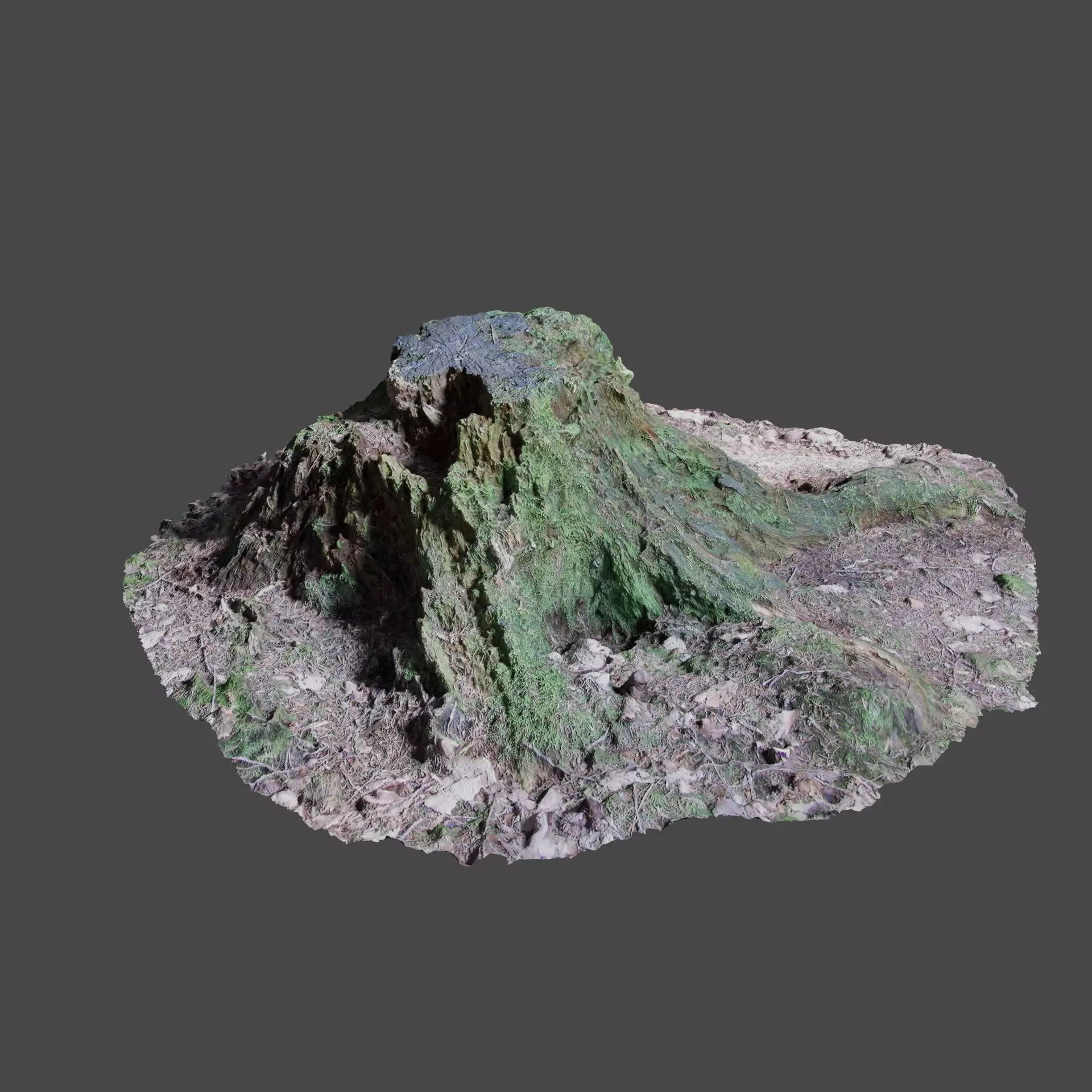 Tree Stump 2 3D model_0