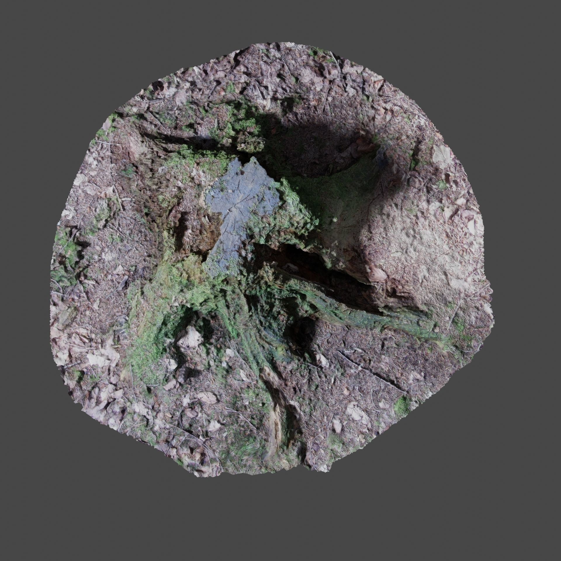 Tree Stump 2 3D model_10