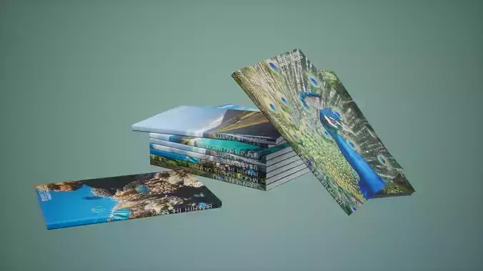 Magazines Set Low Poly Game Ready travel book with peacock 