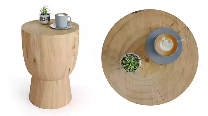 Lawn Stump coffee table 3d model