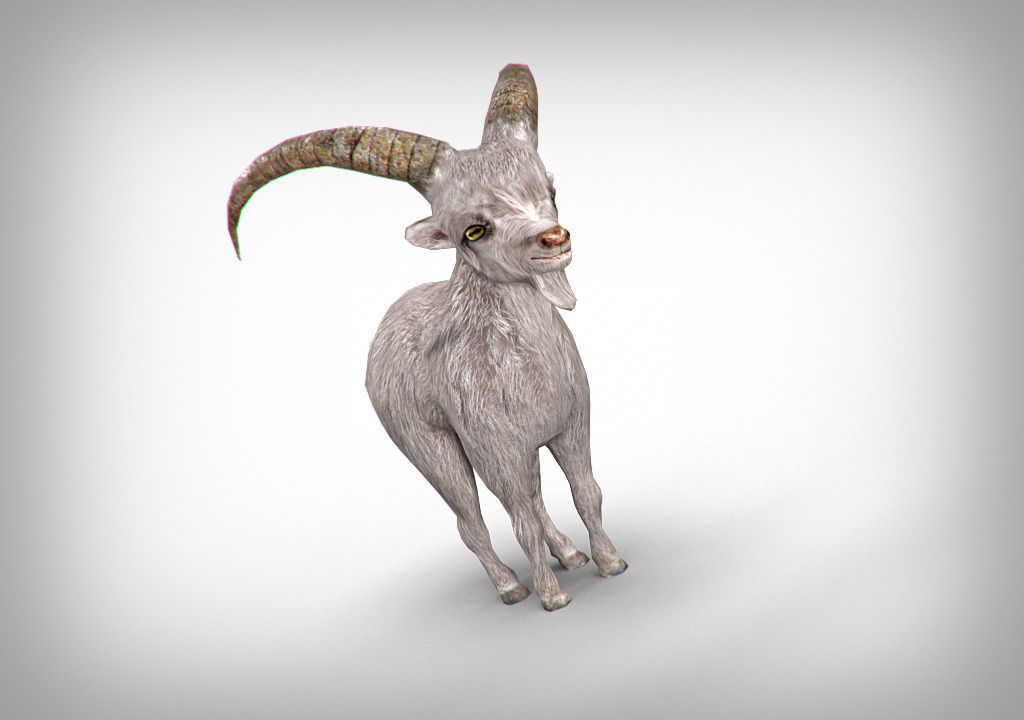Goat low poly with long horns Low-poly 3D model_5