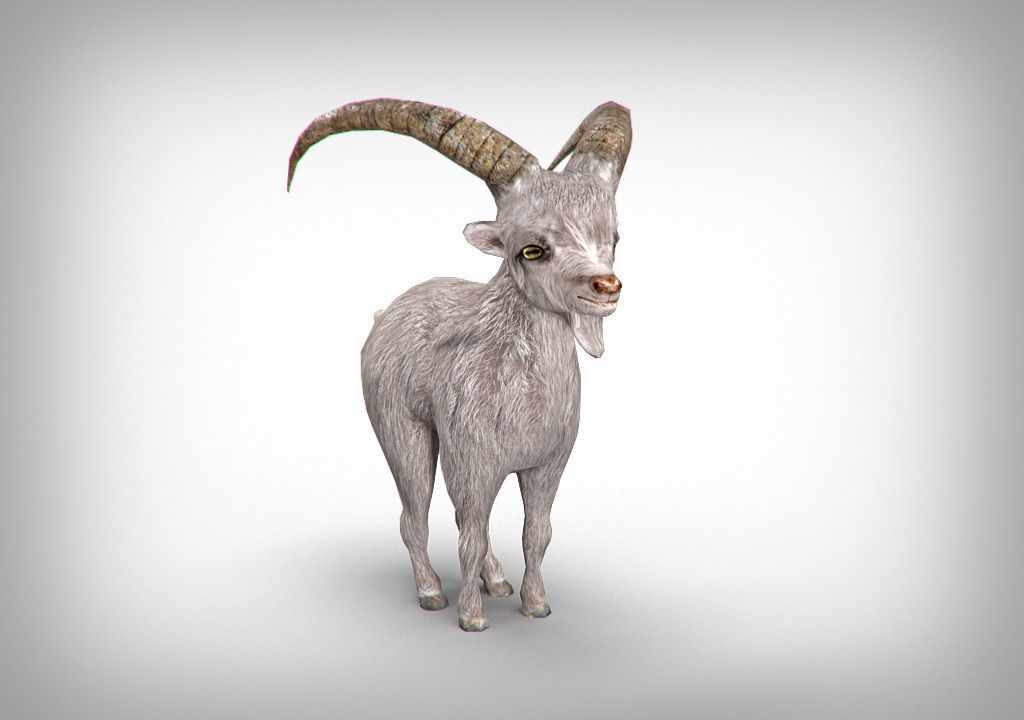 Goat low poly with long horns Low-poly 3D model_1