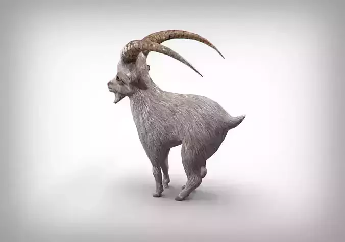 Goat low poly with long horns Low-poly 3D model