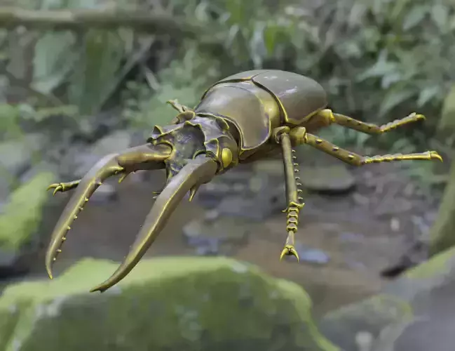 Stag Beetle  3D model