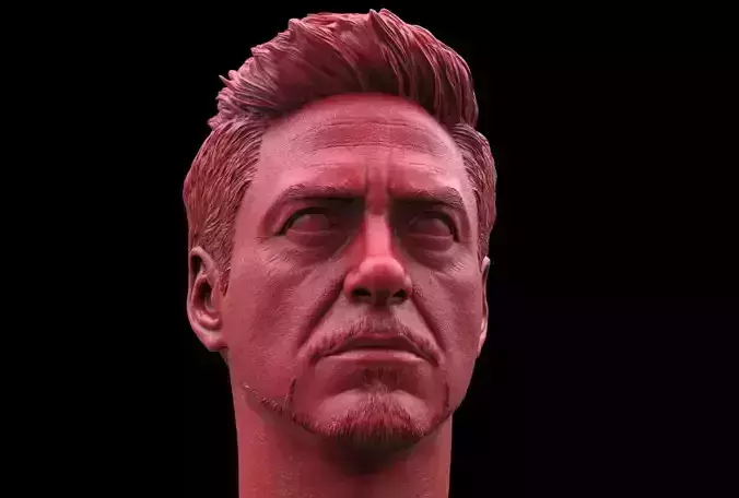 Tony Stark-Robert Downey JR Head  3D print model