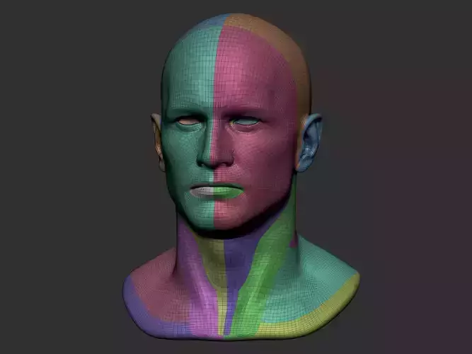 Nathan Uncharted Head basemesh